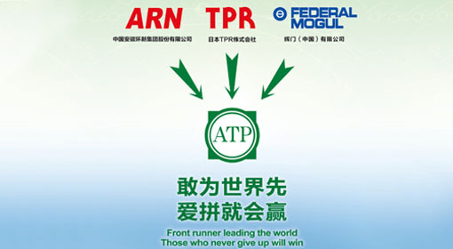 安庆帝伯粉末冶金有限公司